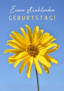 Geburtstagskarte gelbe strahlende Sonnenblume