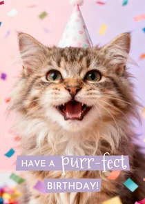 Geburtstagskarte Katze Partyhut 'purr-fect Birthday'