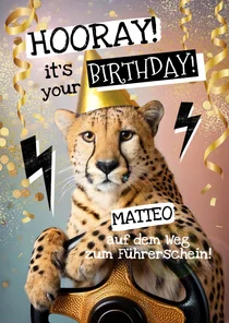 Geburtstagskarte Teenager Gepard am Steuer