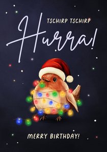 Geburtstagskarte Weihnachtsvogel Rotkehlchen Mütze