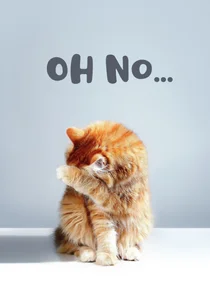 Geburtstagskarte zu spät 'Oh no'