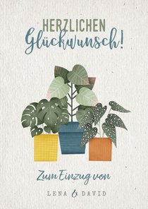 Glückwunschkarte Einzug Zimmerpflanzen