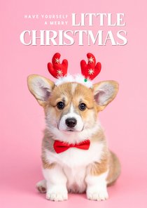 'Merry little Christmas' Weihnachtskarte Hund mit Geweih