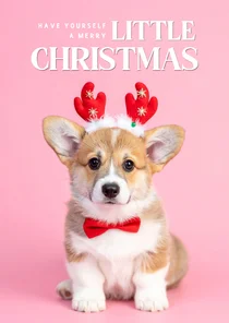 'Merry little Christmas' Weihnachtskarte Hund mit Geweih 
