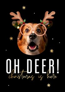 'Oh deer! Christmas is here' Weihnachtskarte mit Hund