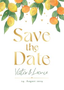 Save-the-Date-Karte Hochzeit Zitrusfrüchte 