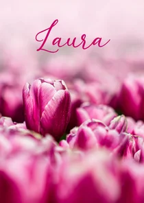 Trauerkarte pinke Tulpen Fotografie Trauermitteilung