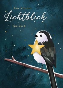 Trostkarte Lichtblick Vogel mit Stern