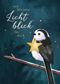 Weihnachtsgrußkarte 'Lichtblick' Vogel mit Stern