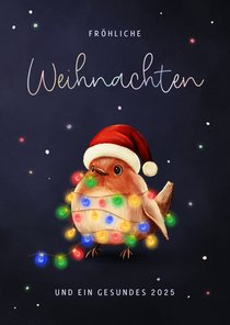 Weihnachtskarte bunte Lichterkette Rotkehlchen mit Mütze