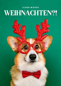 Weihnachtskarte Corgi 'Schon wieder Weihnachten?!'