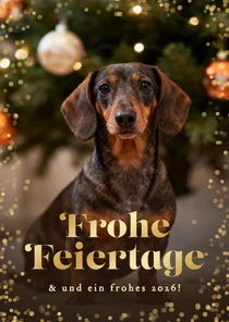 Weihnachtskarte Dackelfoto Goldrand 'Frohe Feiertage'