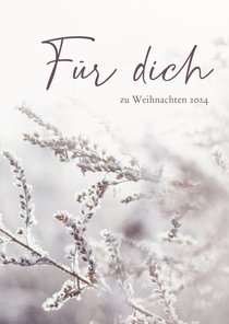 Weihnachtskarte 'Für dich' Gräser mit Raureif