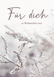 Weihnachtskarte 'Für dich' Gräser mit Raureif