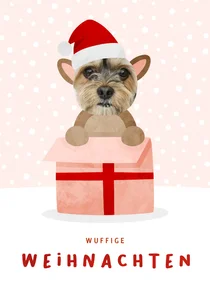 Weihnachtskarte Haustier in Geschenk