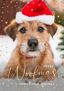 Weihnachtskarte lustiger Hund mit Weihnachtsmütze