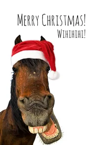 Weihnachtskarte Pferd mit Weihnachtsmütze