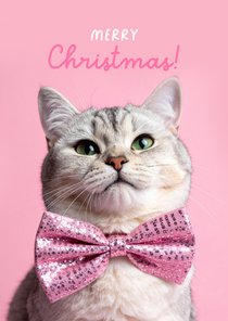 Weihnachtskarte rosa - Katze mit Schleife
