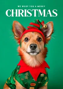 Weihnachtskarte Weihnachtself Hund mit Mütze