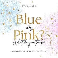 Einladung Gender Reveal Party 'Blue or Pink'