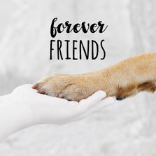 Freundschaftskarte Hundepfote