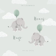 Geburtskarte Zwilling Elefanten, Luftballons & Wolken