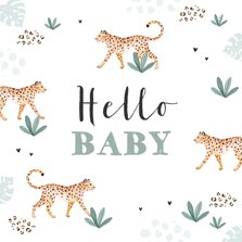 Hello Baby Glückwunschkarte Panther