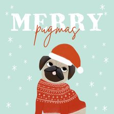 Lustige Weihnachtskarte 'Merry Pugmas'
