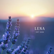 Trauerkarte Lavendelfeld & Sonnenuntergang