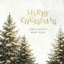 Weihnachtskarte geschäftlich Tannen 'Merry Christmas'