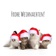 Weihnachtskarte Katzen mit Weihnachtsmützen
