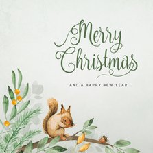 Weihnachtskarte mit Eichhörnchen auf Zweigen