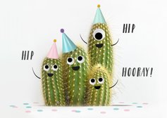 Lustige Glückwunschkarte zum Geburtstag mit Kakteen