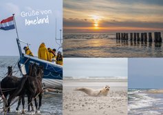 Postkarte Urlaub eigene Fotos 'Grüße von Ameland'