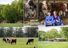 Postkartengrüße vom Bauernhof in Twente