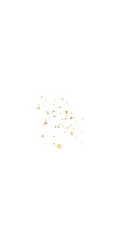 Jugendweihe Menükarte Goldschrift & Sprenkel Rückseite