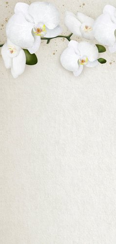 Einladung Beerdigung weiße Orchideen Rückseite
