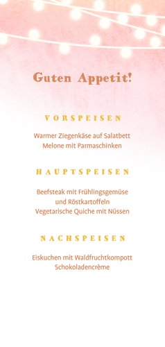 Foto-Menükarte 21. Geburtstagsfeier Aquarell Lichterkette Rückseite
