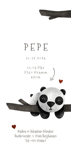 Geburtskarte Zwilling Pandabären 3
