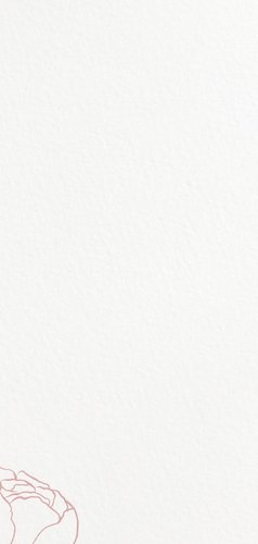  Menue-Karte mit Pfingstrosen Rückseite