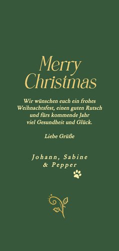 Weihnachtskarte goldener Fotorahmen dunkelgrün Rückseite