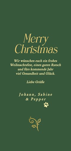 Weihnachtskarte goldener Fotorahmen dunkelgrün  Rückseite