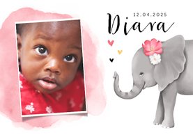 Danksagung zur Adoption Foto & Elefant rosa