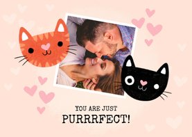 Liebeskarte 'purrfect' mit Foto, Katzen und Herzen