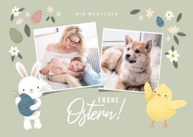 Lustige Osterkarte Fotos, Osterhase & Küken