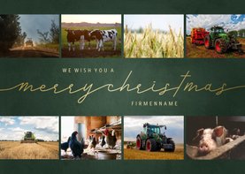 Weihnachtskarte geschäftlich Merry Christmas & 8 Fotos