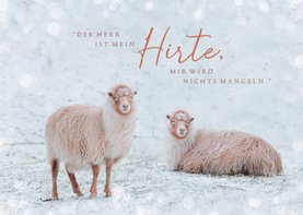 Weihnachtskarte Schafe im Schnee