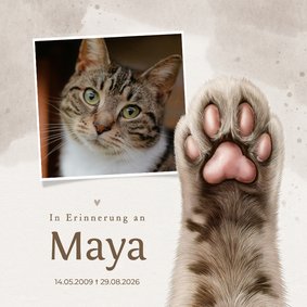 Beileidskarte Katze 'In Erinnerung' mit Foto und Pfote 