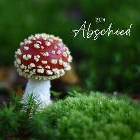 Beileidskarte Naturmotiv Fliegenpilz 'Zum Abschied'