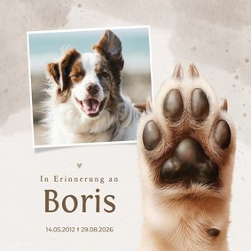Beileidskarte Pfote Hund mit Foto 'In Erinnerung an'